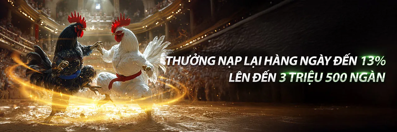 Đá Gà Trực Tuyến Hấp Dẫn trên 78wim App